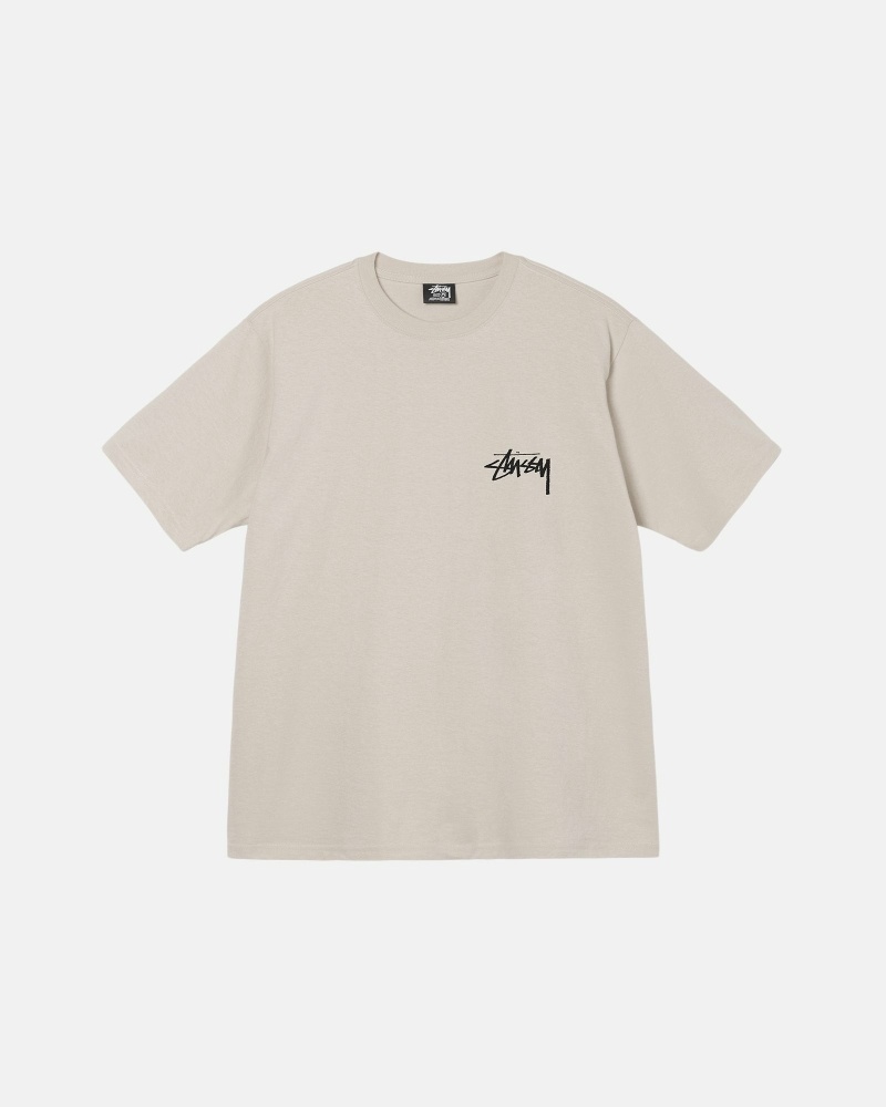 Beige Men's Stussy Diced Out T Shirts | AU0000160