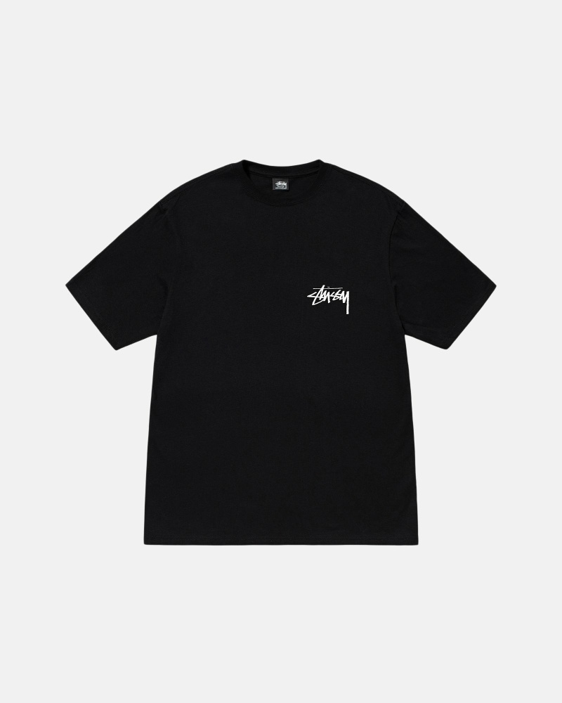 Black Men's Stussy Diced Out T Shirts | AU0000161