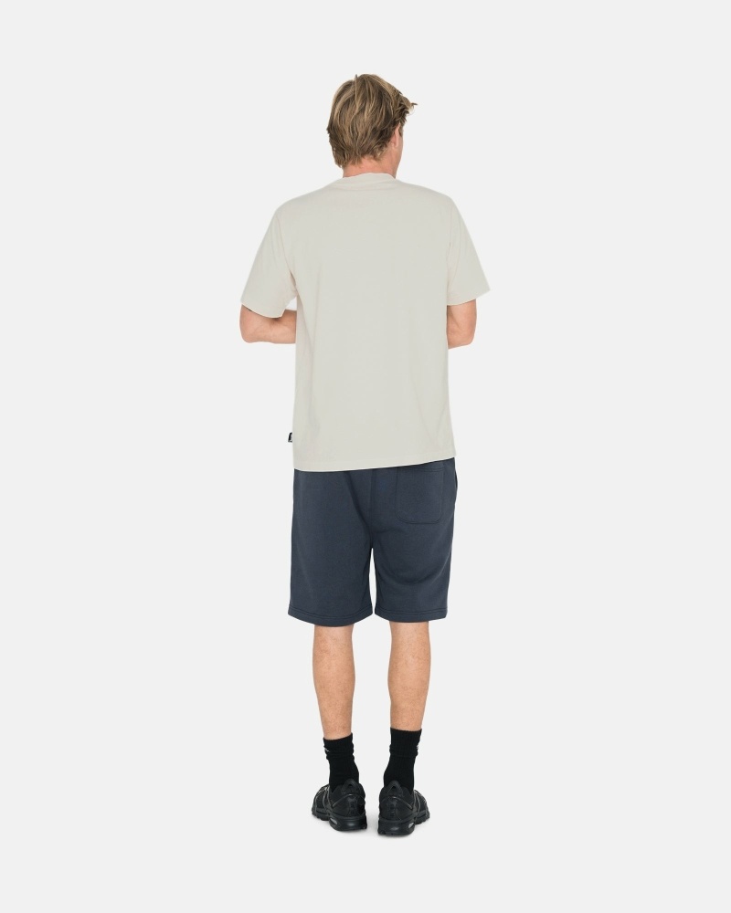 Black Men's Stussy Overdyed Stock Logo Shorts | AU0000655