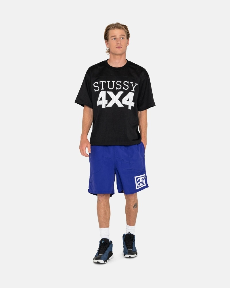 Blue Men's Stussy Ss-Link Shorts | AU0000685