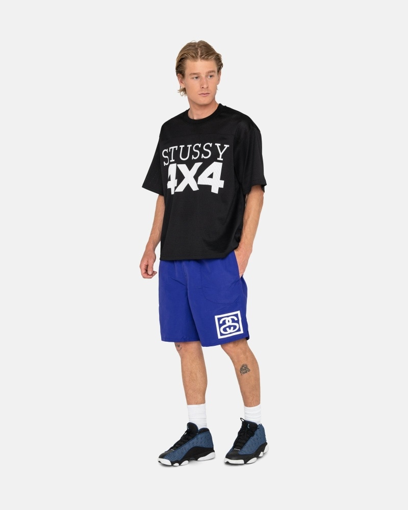 Blue Men's Stussy Ss-Link Shorts | AU0000685