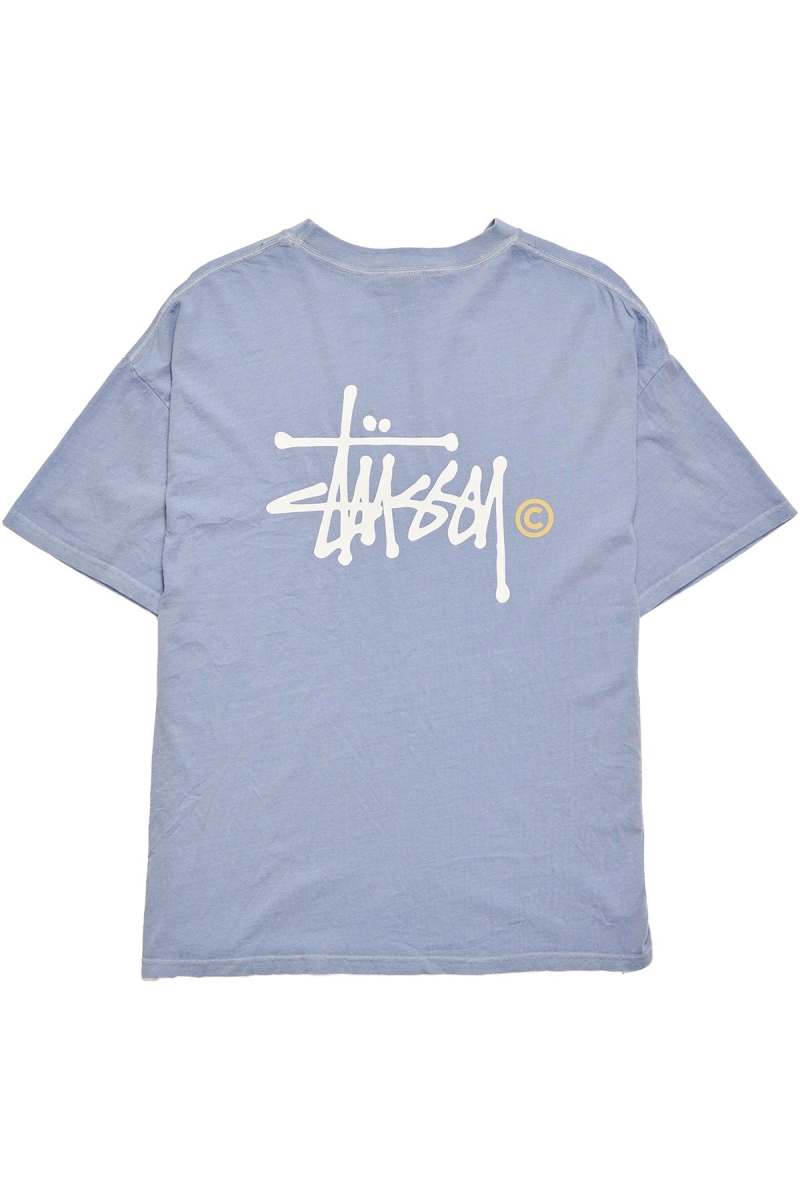 Blue Women's Stussy Graffiti T Shirts | AU0000192