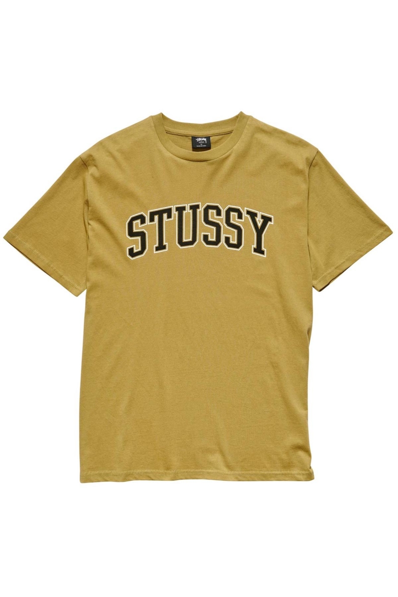 Brown Women\'s Stussy Collegiate BF T Shirts | AU0000133