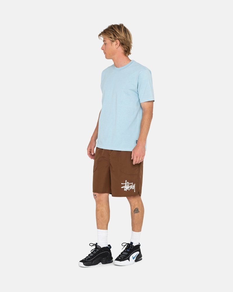 Coffee Men's Stussy Big Basic Shorts | AU0000620