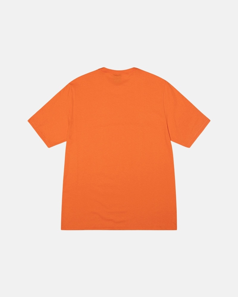 Coral Men's Stussy Stock Box T Shirts | AU0000273