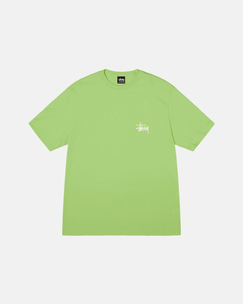 Green Men's Stussy Basic T Shirts | AU0000108