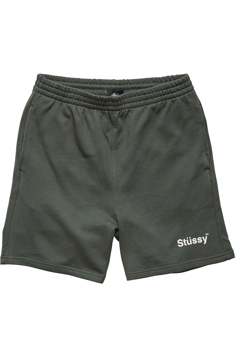 Green Men\'s Stussy Text Fleece Short Sportswear | AU0000792