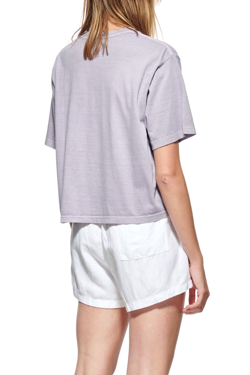 Grey Women's Stussy Text Waisted OS T Shirts | AU0000279