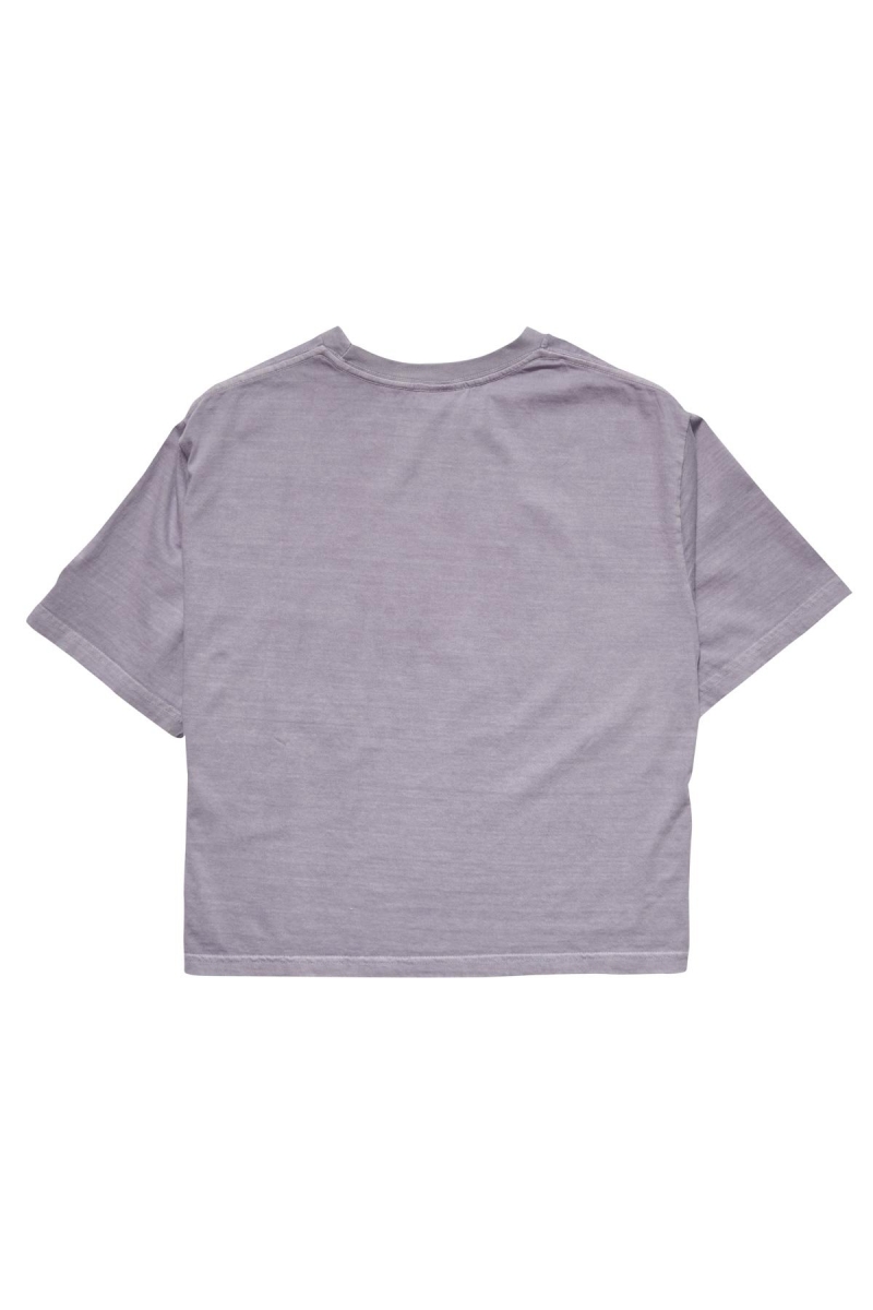 Grey Women's Stussy Text Waisted OS Tee Sportswear | AU0000797