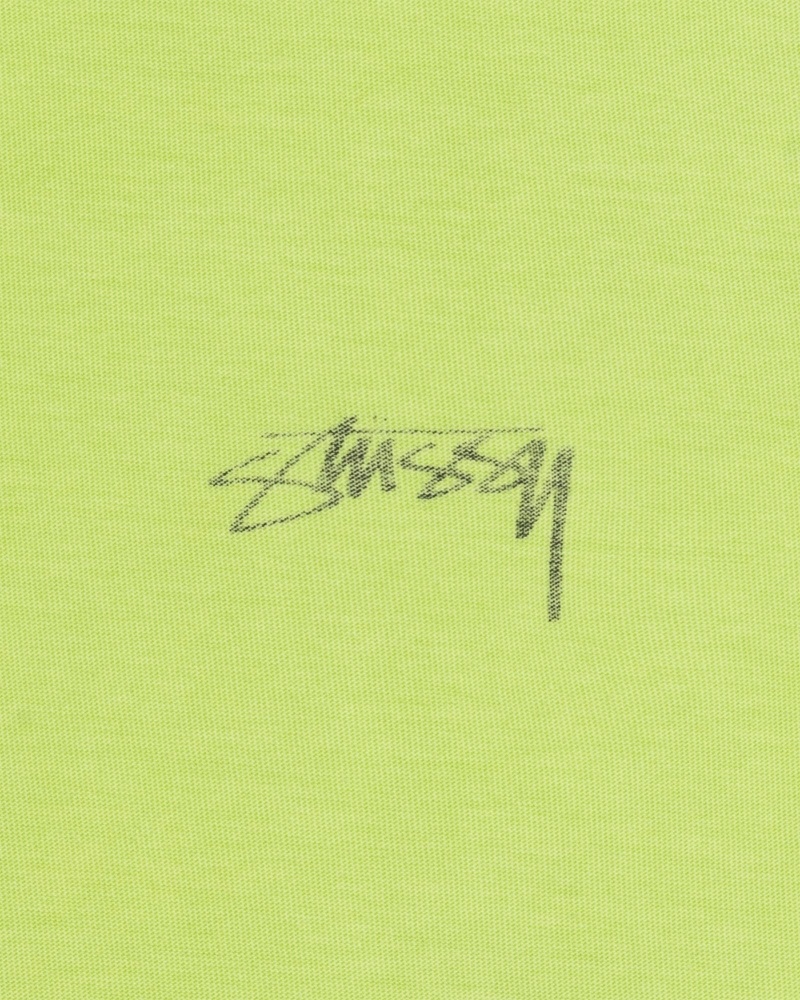 Light Green Men's Stussy Lazy T Shirts | AU0000242