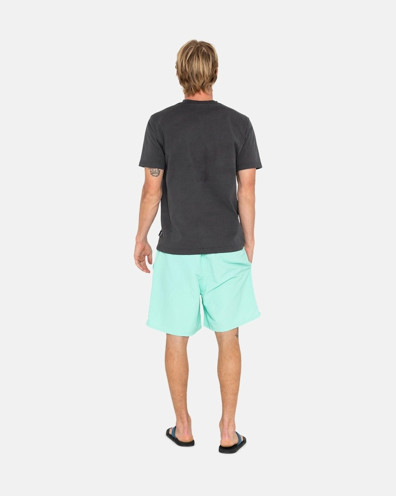 Light Turquoise Men's Stussy Stock Shorts | AU0000695