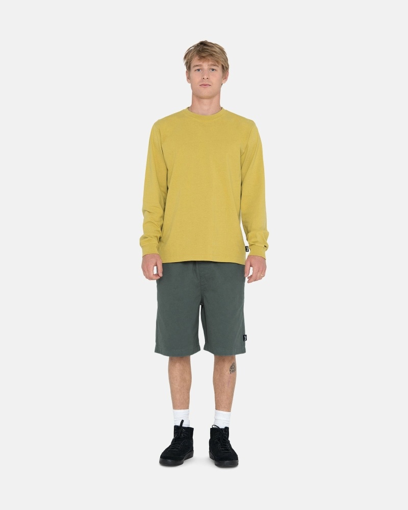 Olive Men's Stussy Brushed Shorts | AU0000631