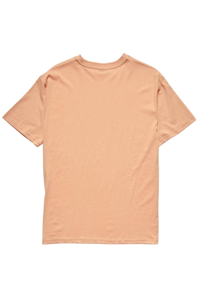 Orange Women's Stussy Collegiate BF T Shirts | AU0000132