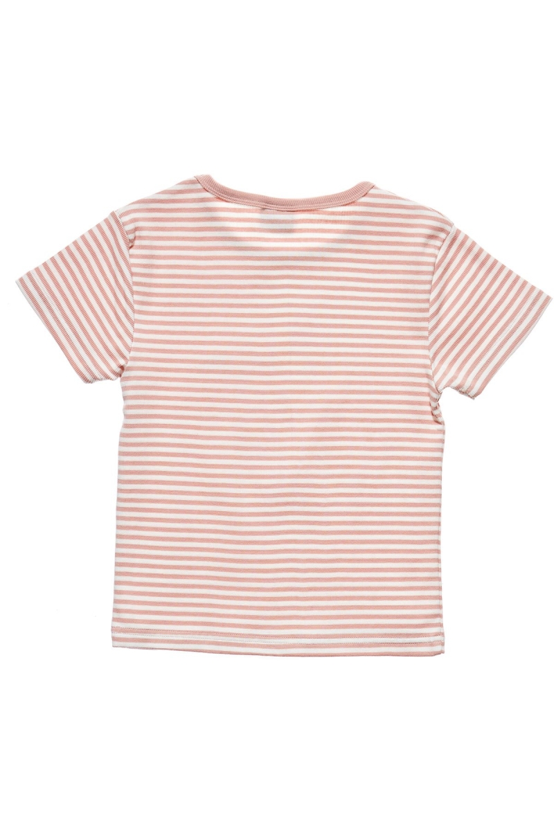 Pink Women's Stussy Hyde Stripe Rib T Shirts | AU0000222