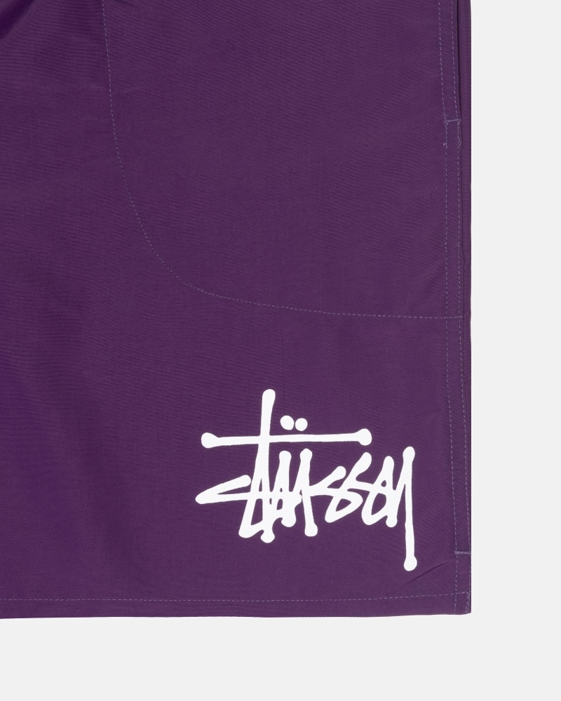 Purple Men's Stussy Big Basic Shorts | AU0000618