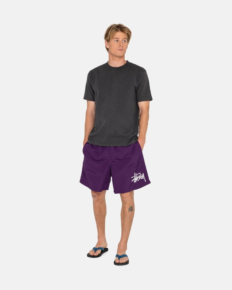 Purple Men's Stussy Big Basic Shorts | AU0000618