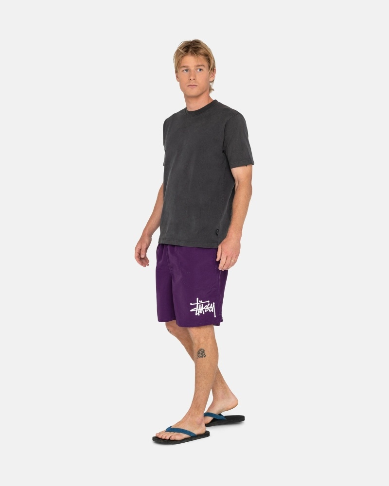 Purple Men's Stussy Big Basic Shorts | AU0000618