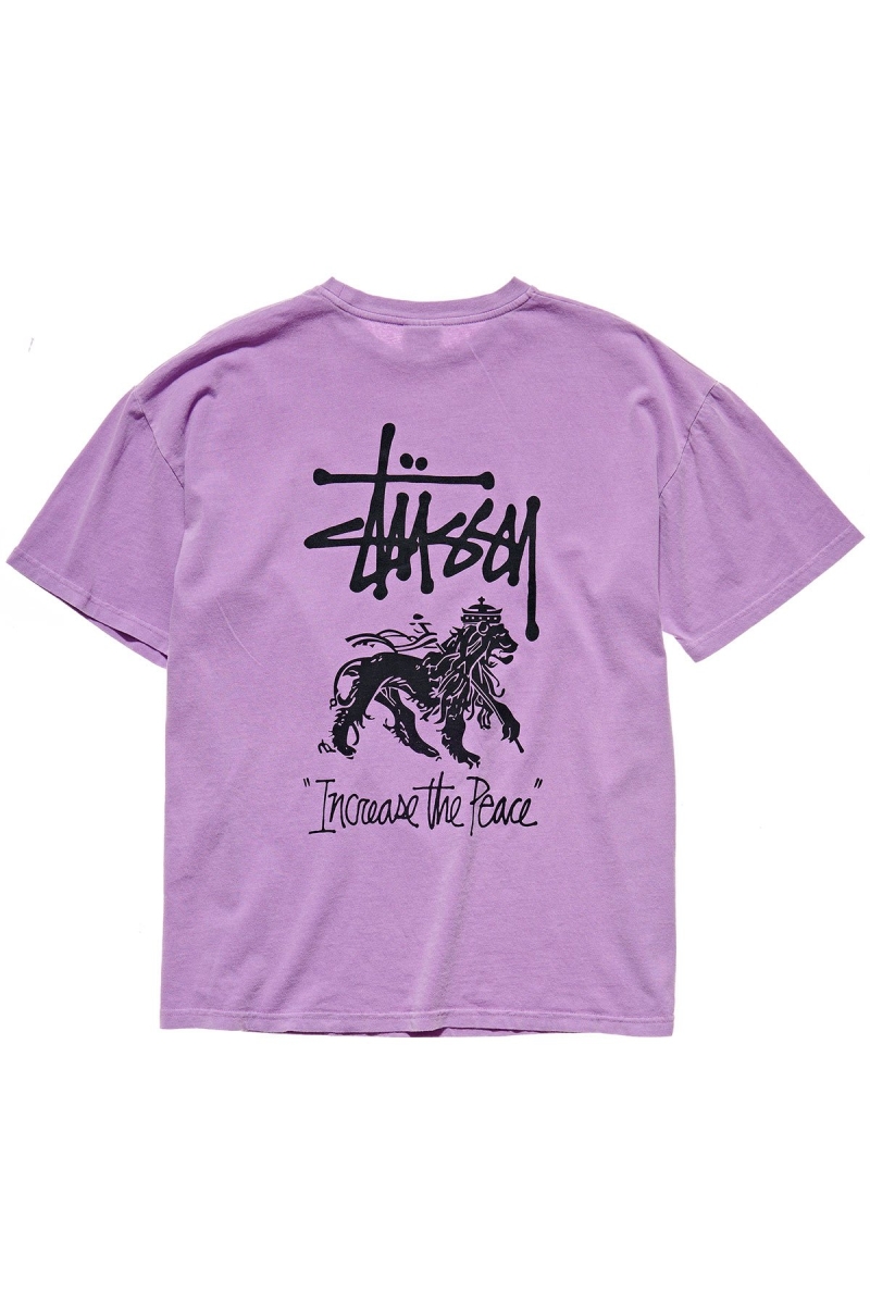 Red Women's Stussy Regal Relaxed T Shirts | AU0000258