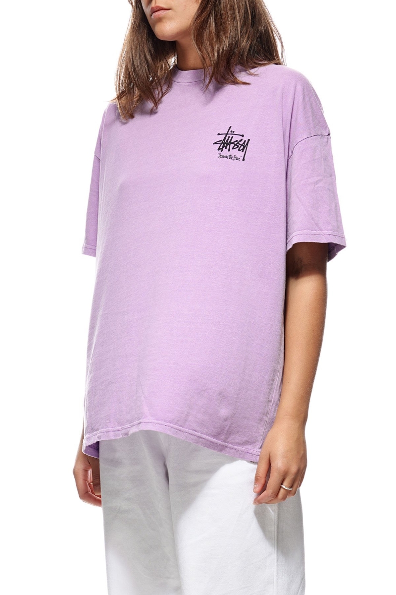 Red Women's Stussy Regal Relaxed T Shirts | AU0000258