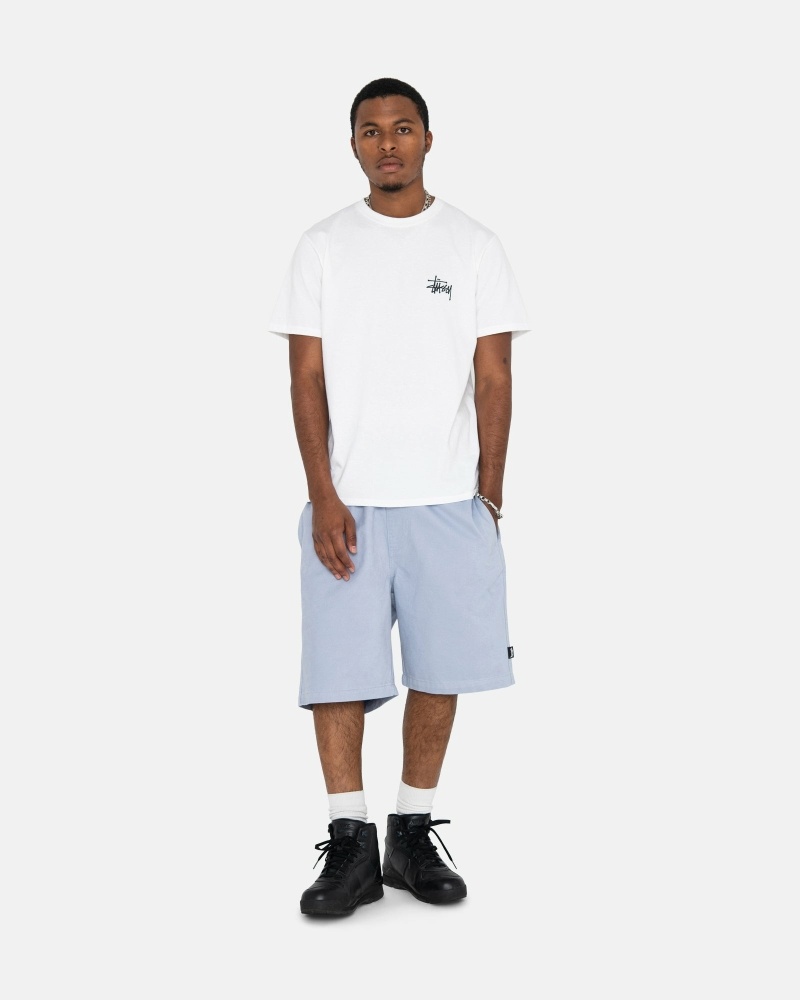 Silver Men's Stussy Brushed Shorts | AU0000635