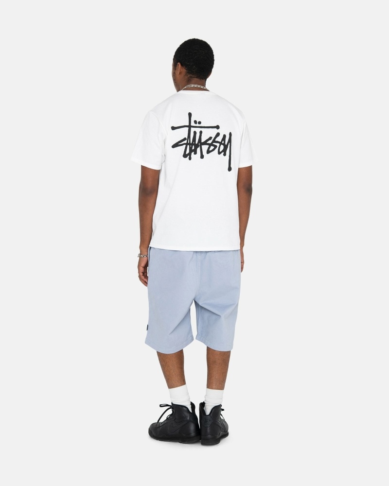 Silver Men's Stussy Brushed Shorts | AU0000635