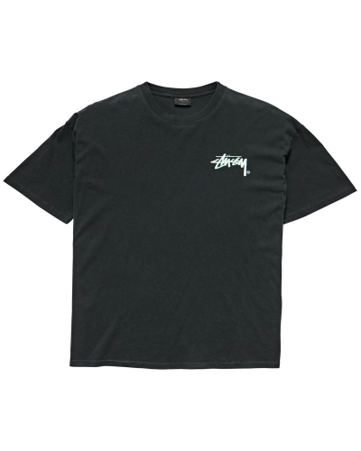 Black Men's Stussy Shadow Stock SS T Shirts | AU0000261