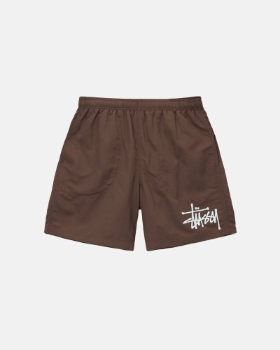 Coffee Men's Stussy Big Basic Shorts | AU0000620