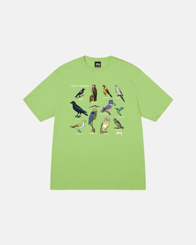 Green Men's Stussy California Birds T Shirts | AU0000118