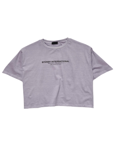 Grey Women's Stussy Text Waisted OS T Shirts | AU0000279