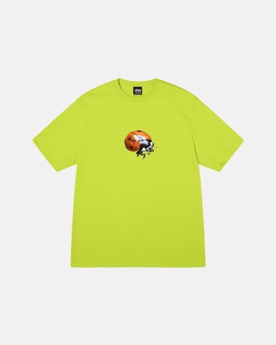 Light Green Men's Stussy Ladybug T Shirts | AU0000233