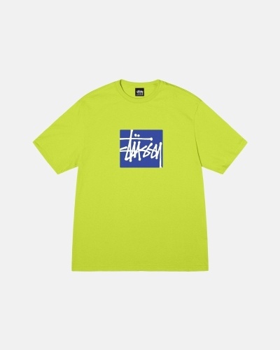 Light Green Men's Stussy Stock Box T Shirts | AU0000272