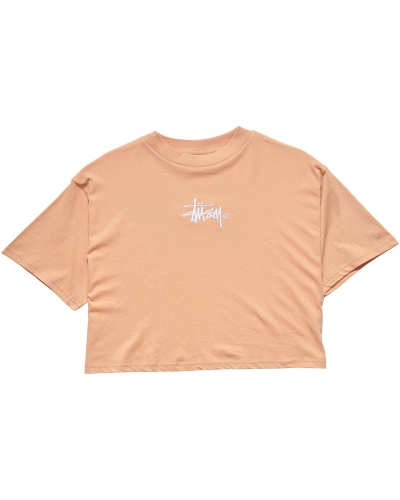 Orange Women's Stussy Graffiti Boxy T Shirts | AU0000174