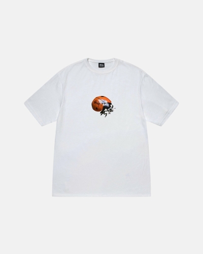 White Men's Stussy Ladybug T Shirts | AU0000234